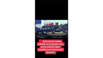 Fact Check: Európska únia NEZASAHOVALA do slovenských volieb