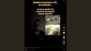 Fact Check: Slovensko NESTRATILO možnosť rozhodovať o menovej politike